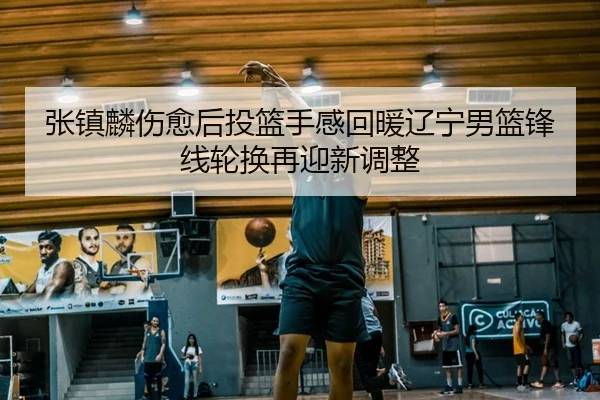 张镇麟伤愈后投篮手感回暖辽宁男篮锋线轮换再迎新调整