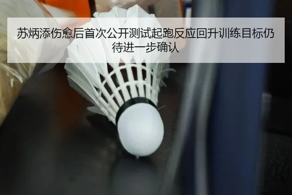 苏炳添伤愈后首次公开测试起跑反应回升训练目标仍待进一步确认